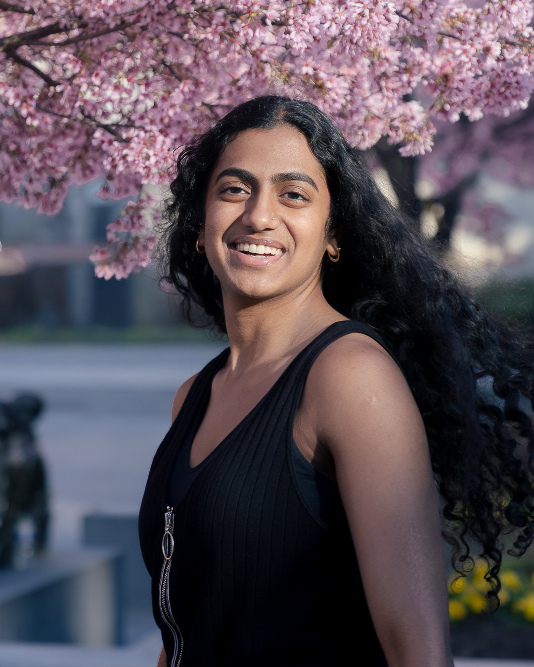 Portrait — cherry blossoms